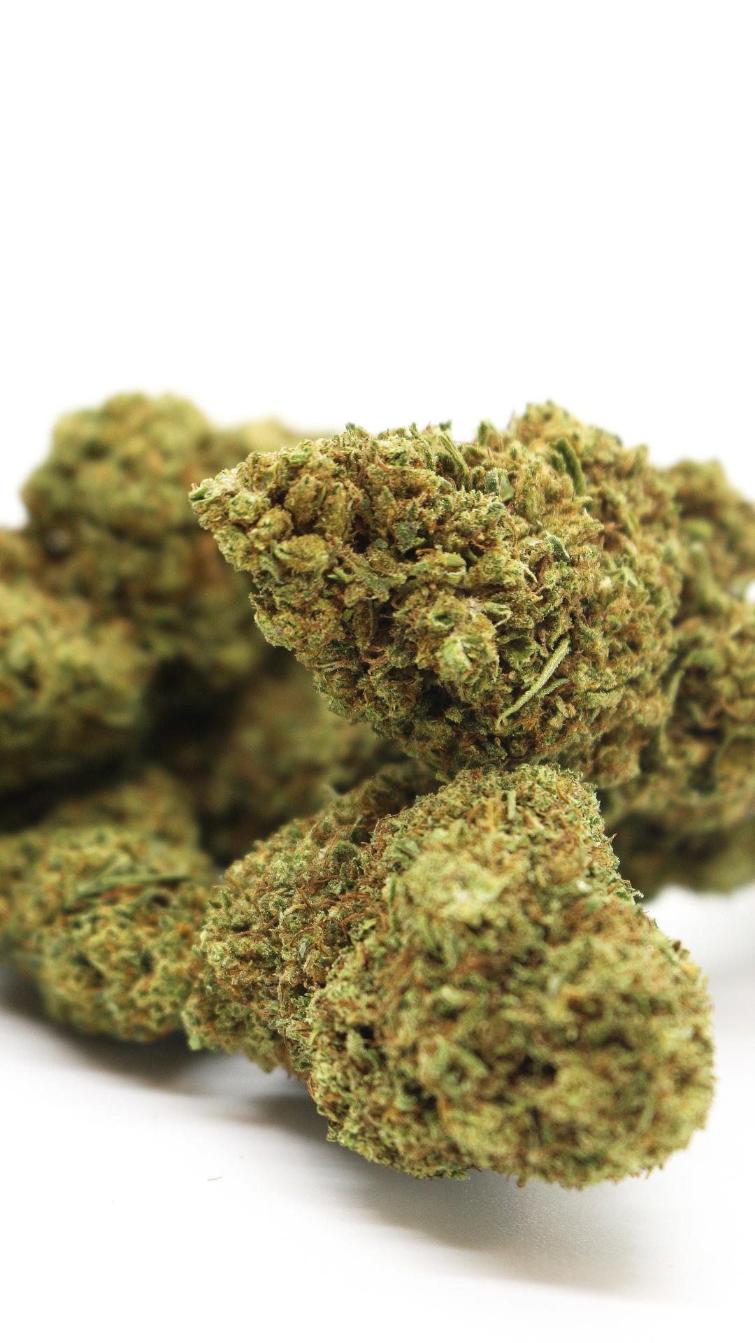 fruitcake cbd
