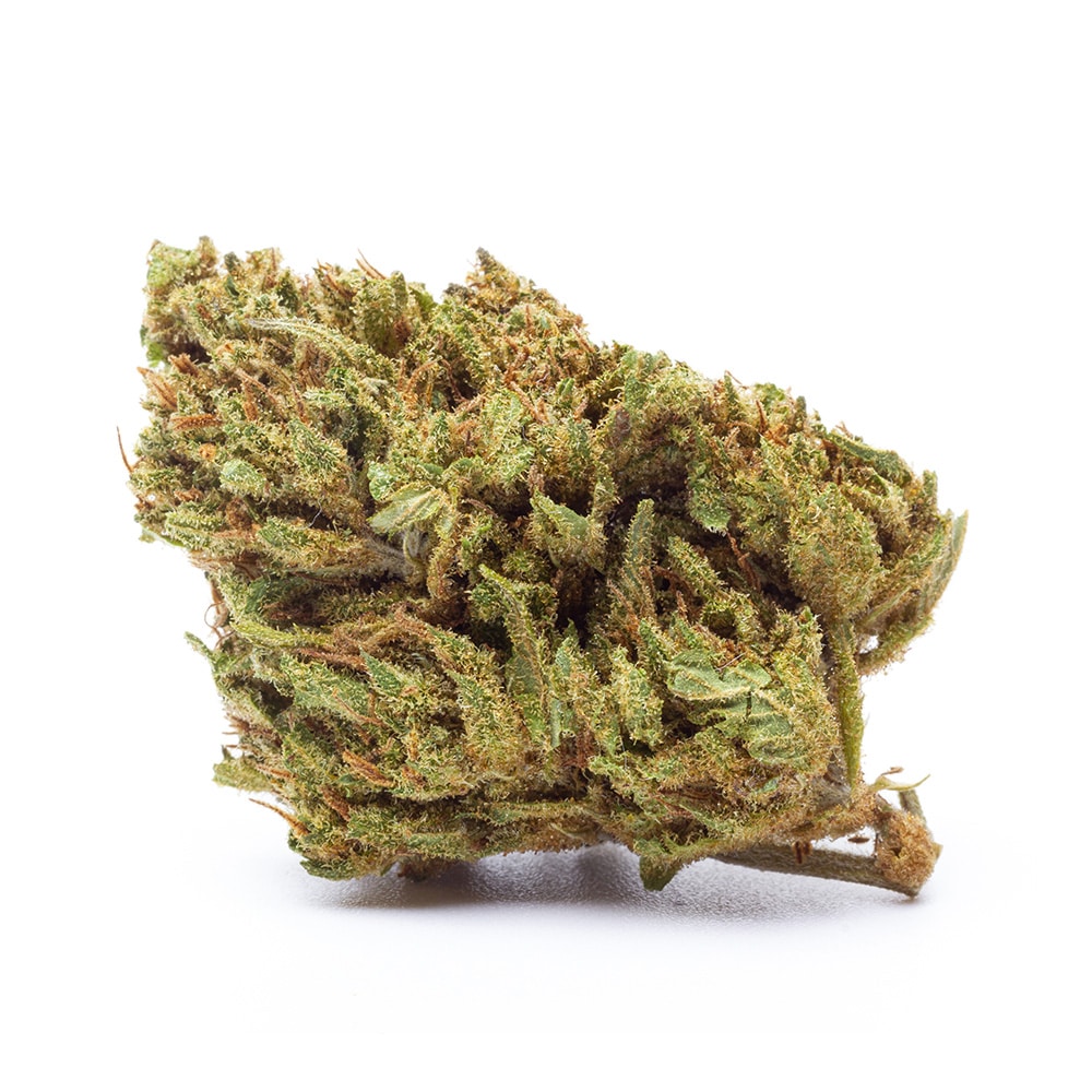 Junky Milk CBD Kilogrammes