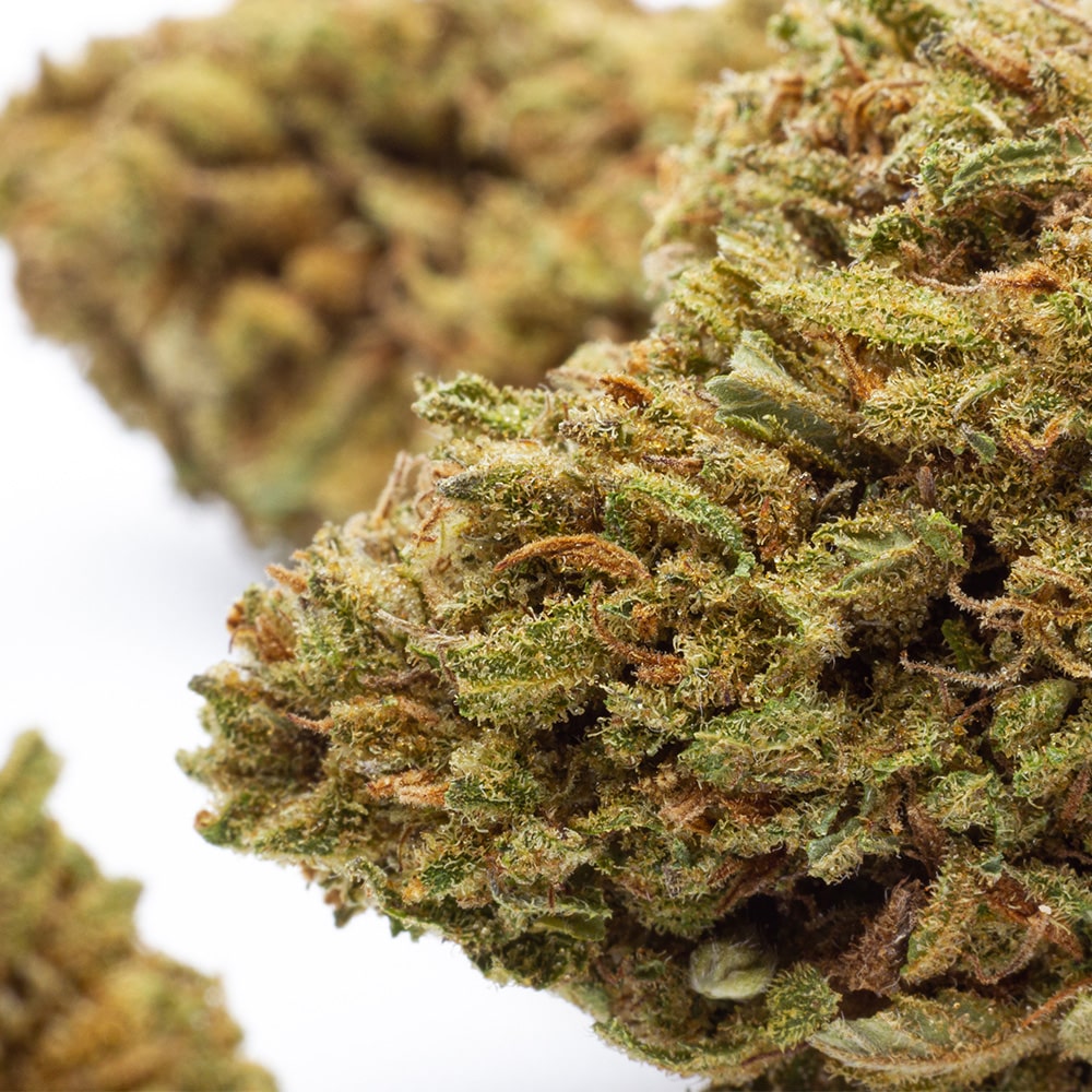 Junky Milk CBD Kilogrammes