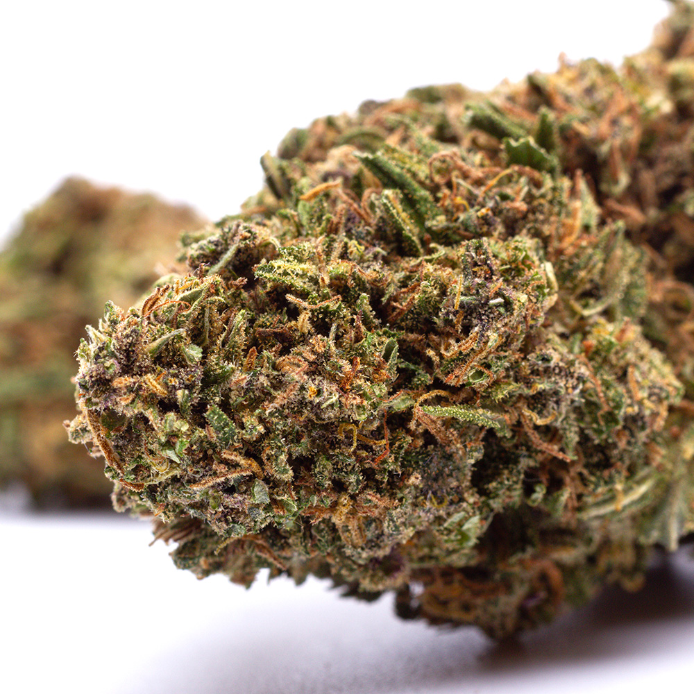 Orange Bud CBD