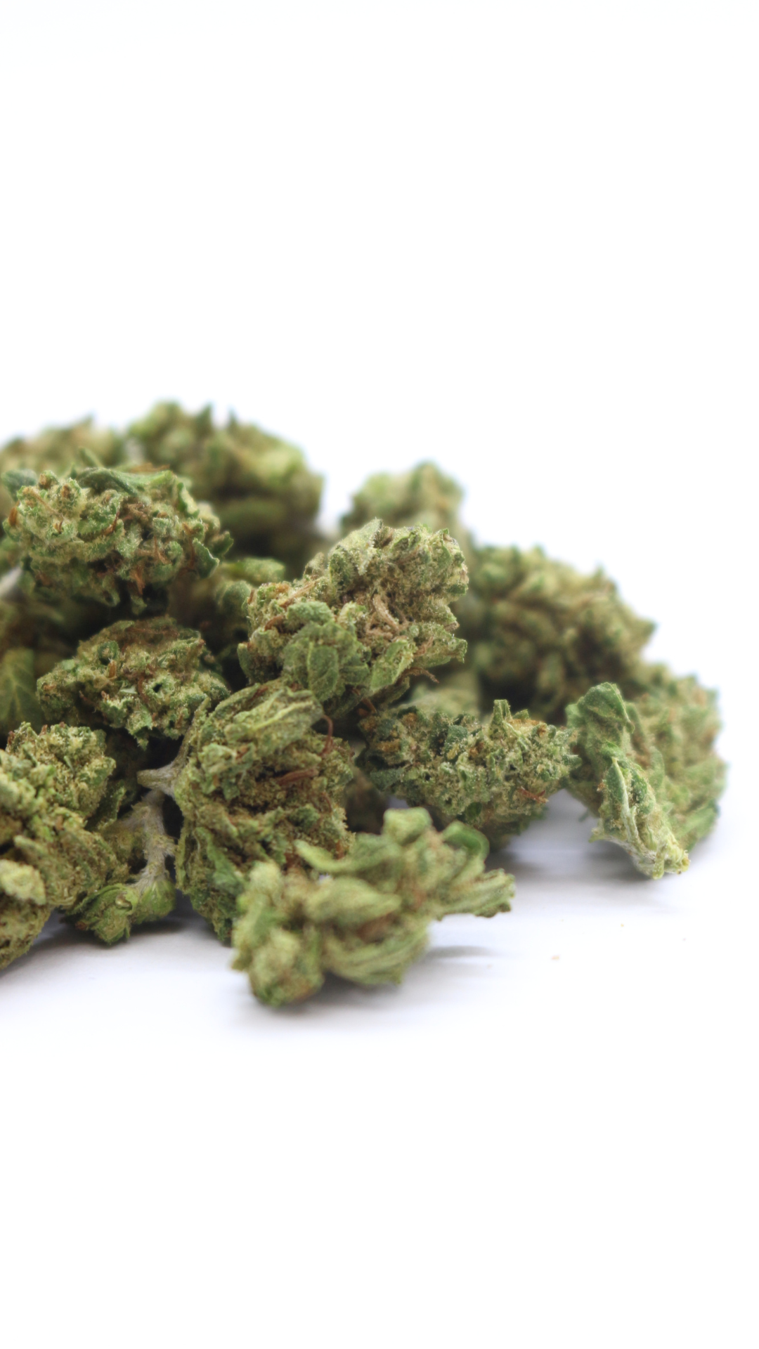 Zkittlez popcorn cbd