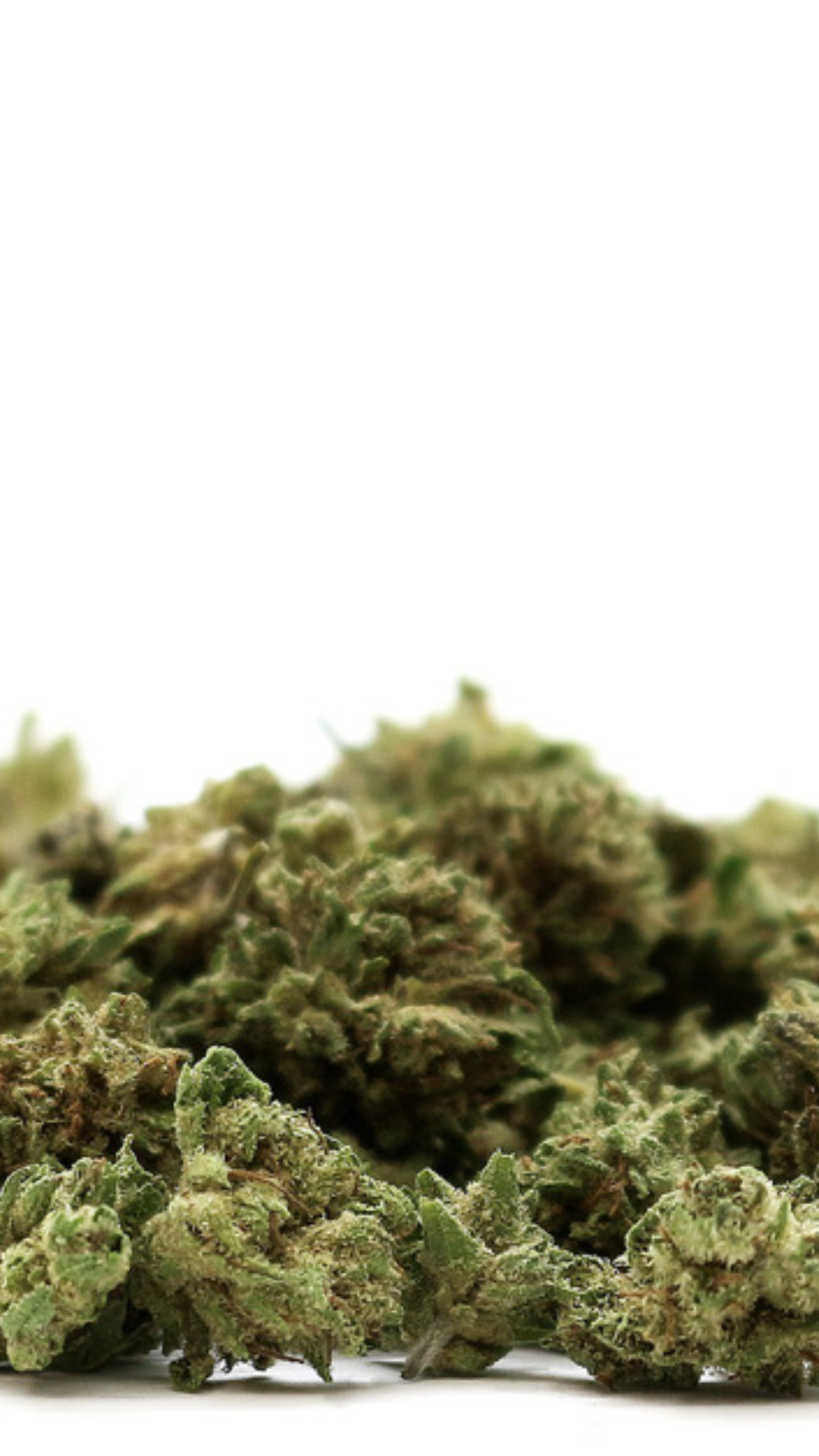 popcorn og mint