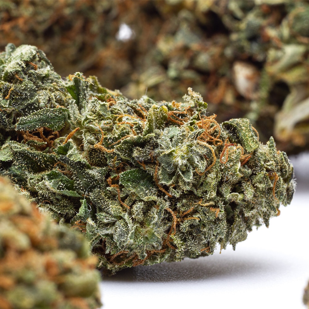 Charlotte's Web CBD Kilogrammes