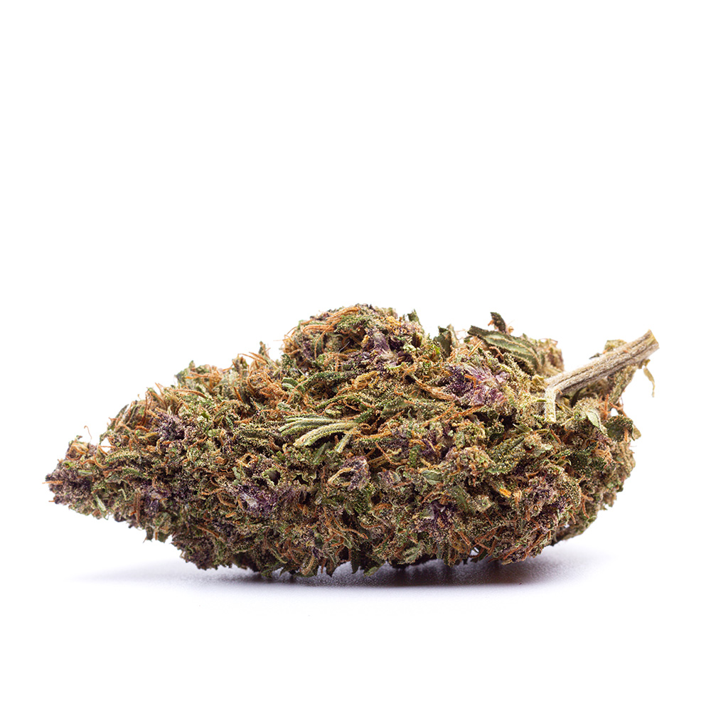 Une bud de CBD PURPLE RUNTZ