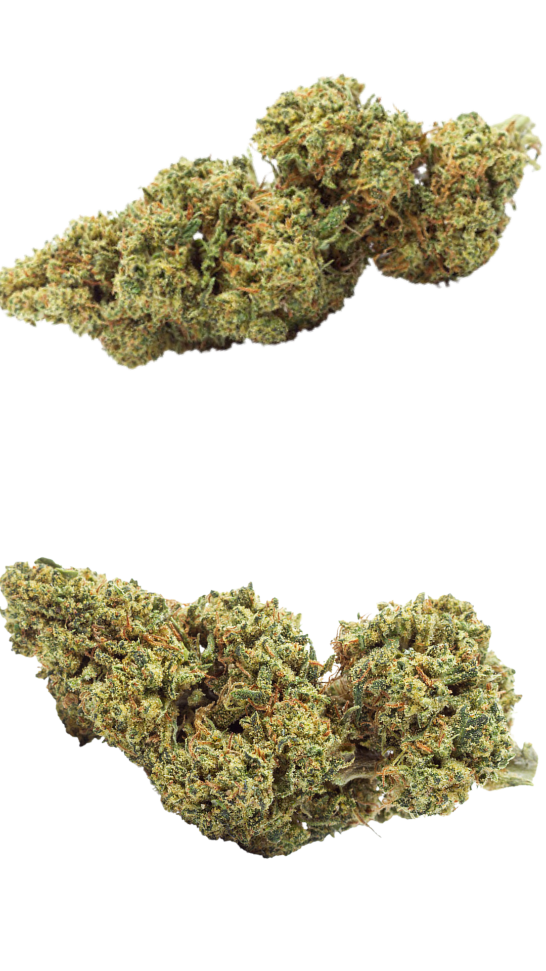 lemon soda cbd