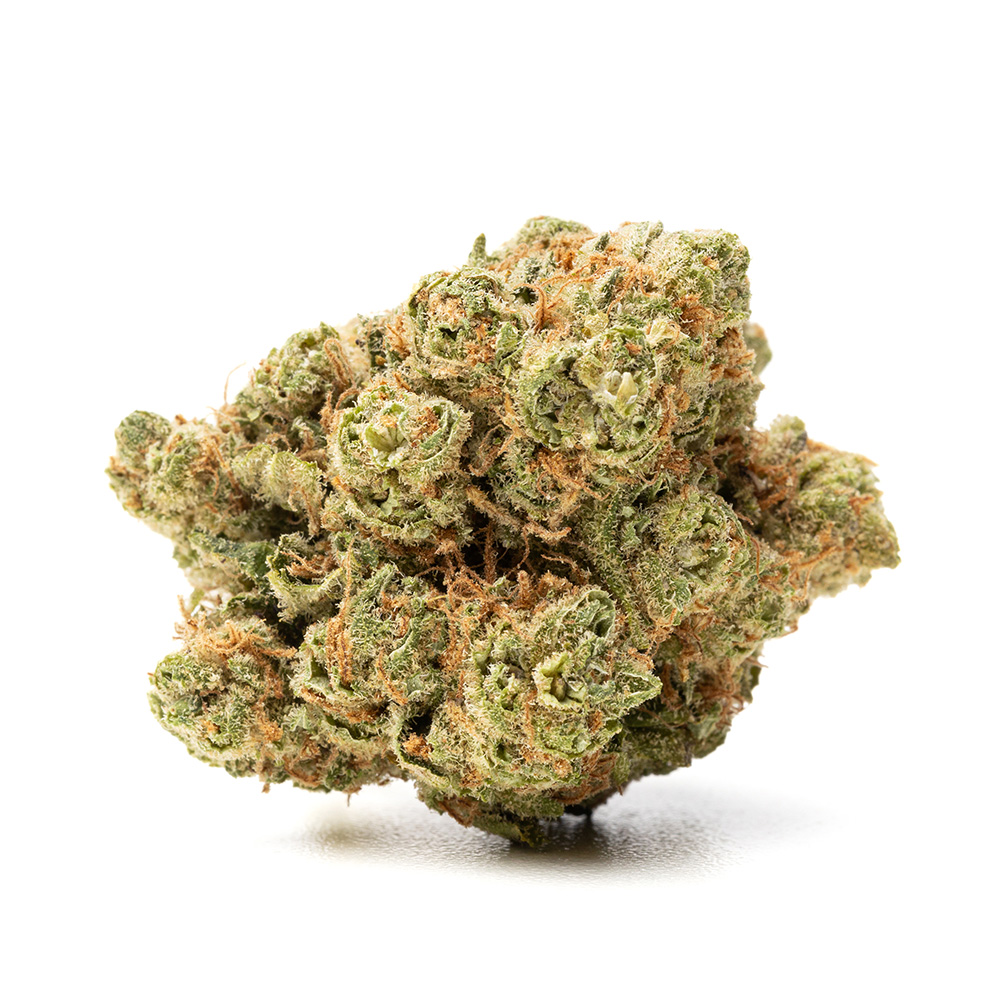 AMNESIA HAZE V2
