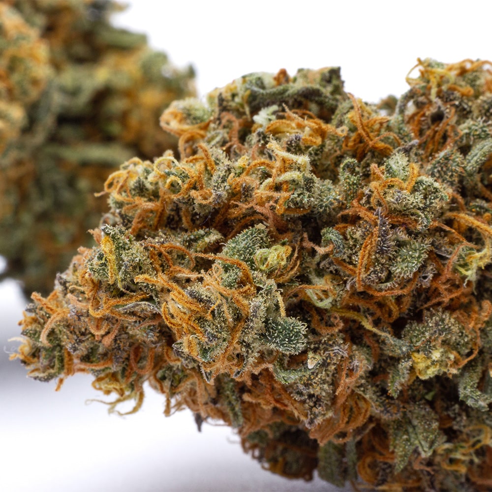 Strawberry Shortcake CBD Kilogrammes