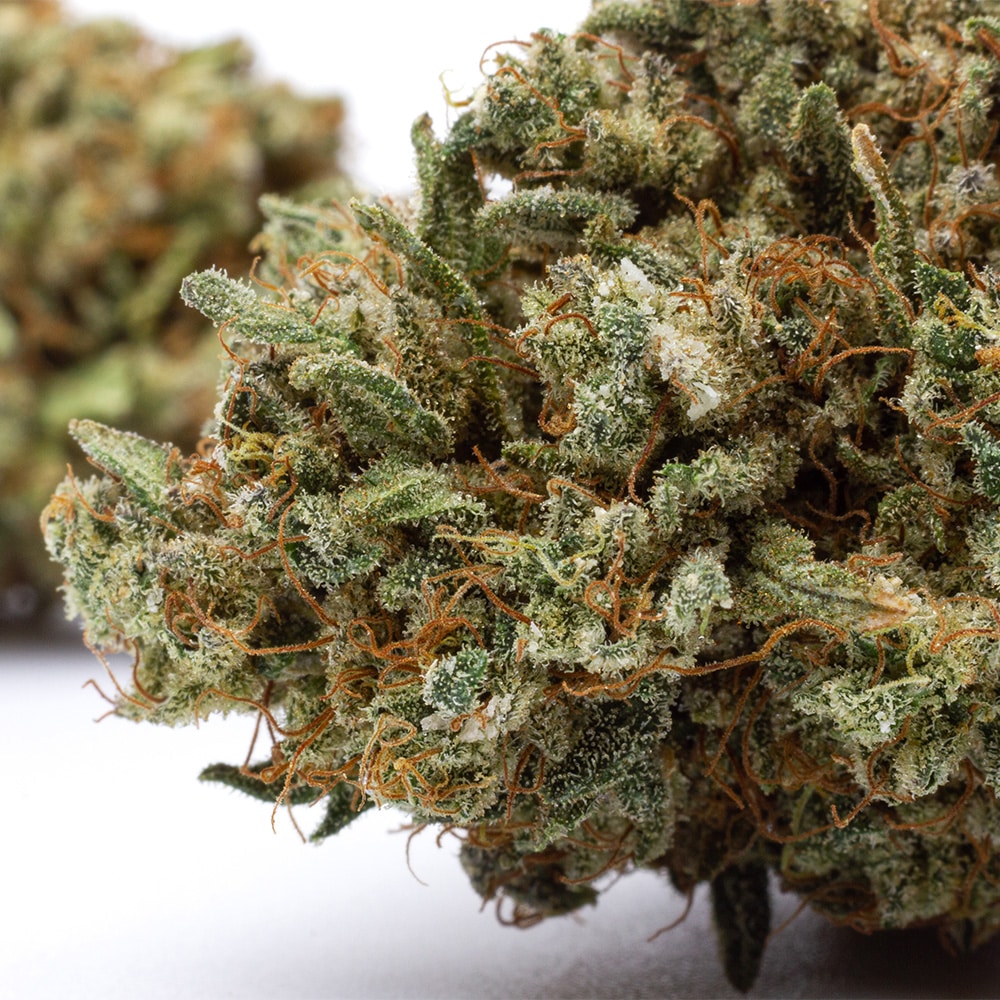 Kosher Kush