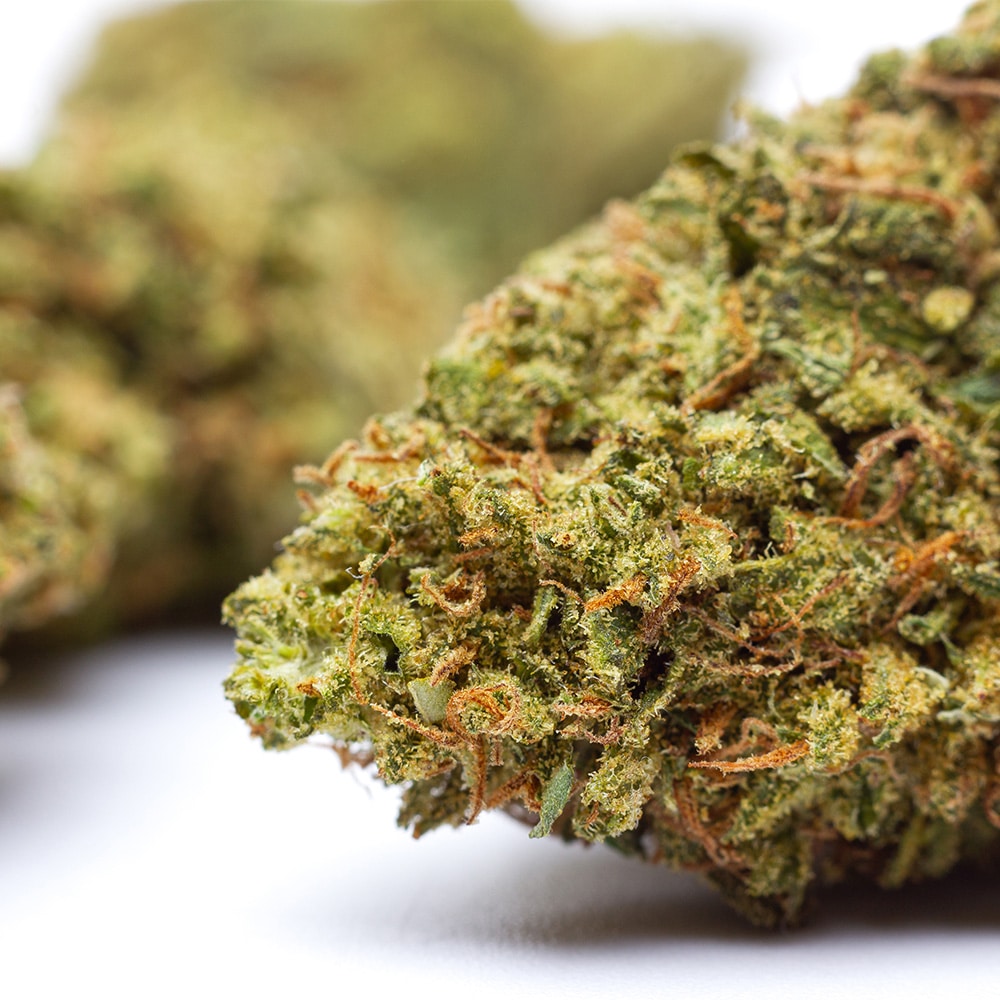 Kilogrammes Candy Kush CBD