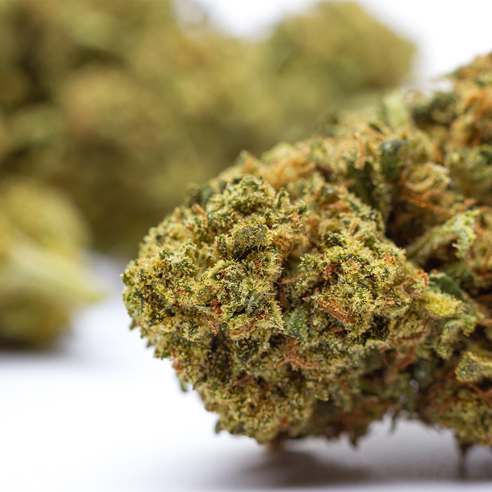 Kilogrammes Zushi Kush CBD
