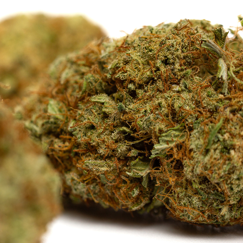 full gaz cbd