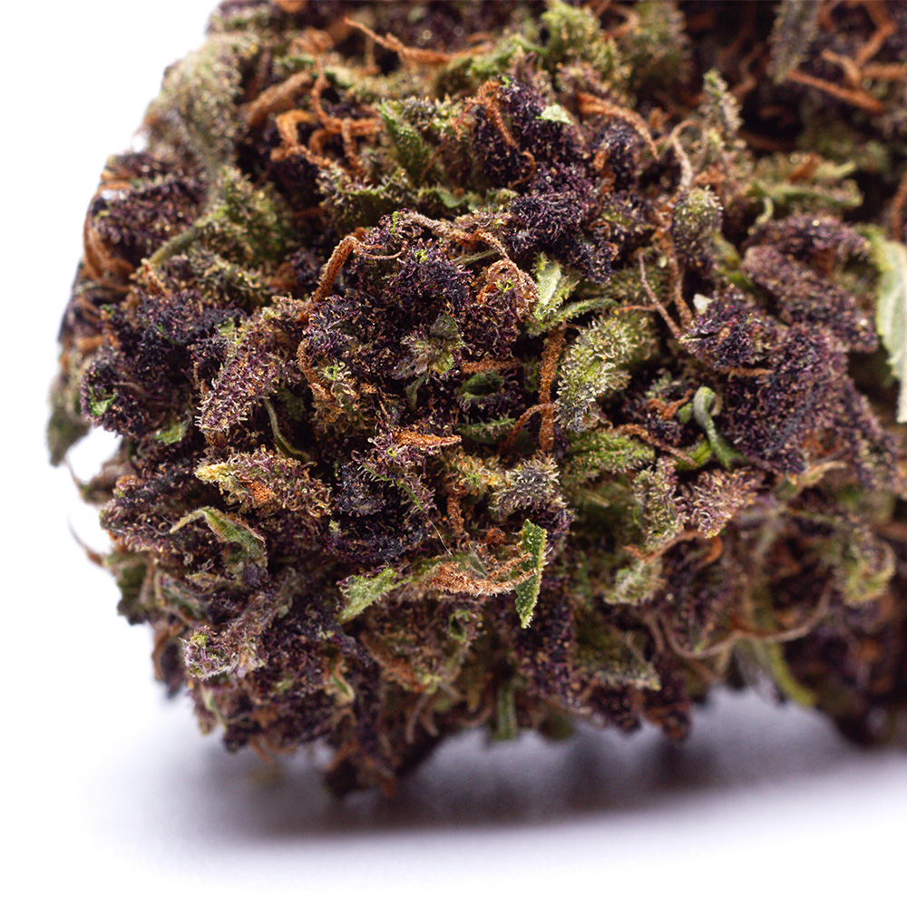 Buds CBD de Purple Haze