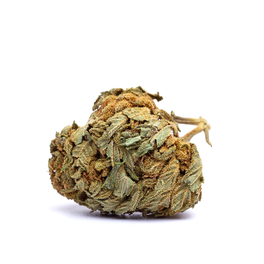 White Widow