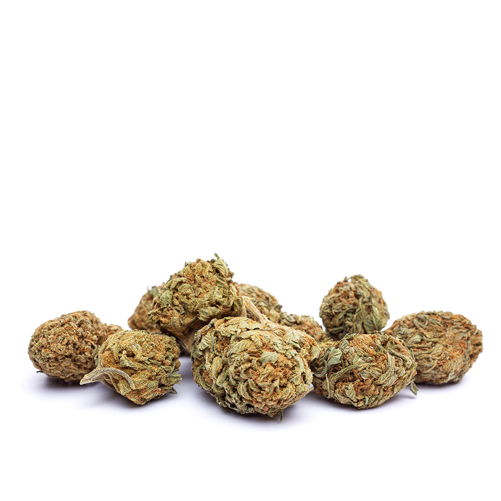 White Widow