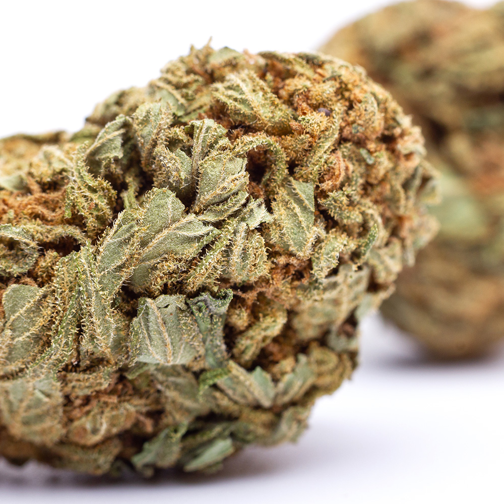 White Widow