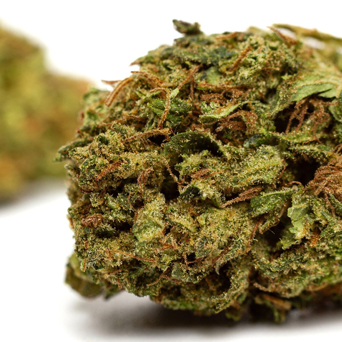 Strain bubble gum by Kilogrammes