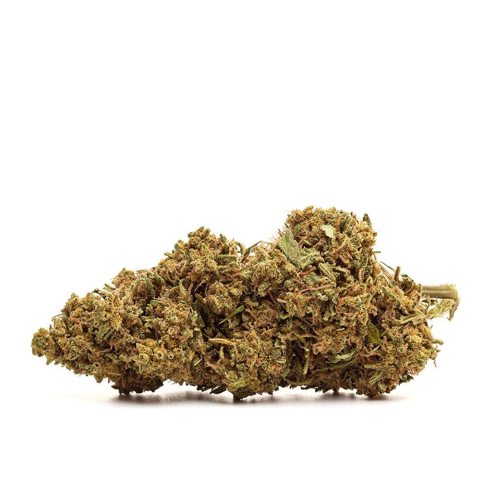 NYC Diesel