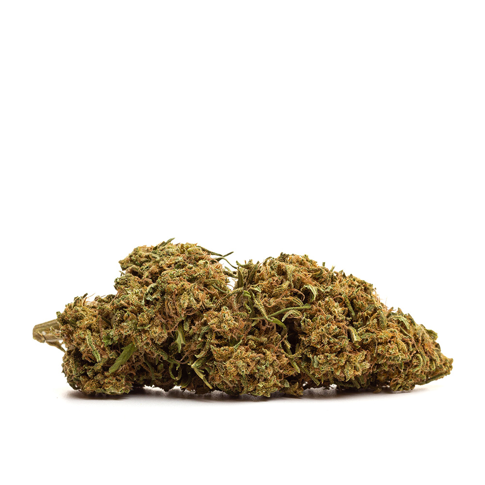 NYC Diesel