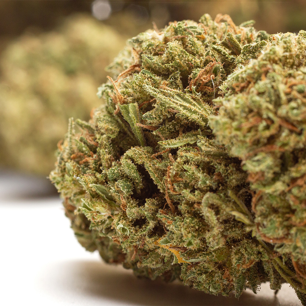 NYC Diesel