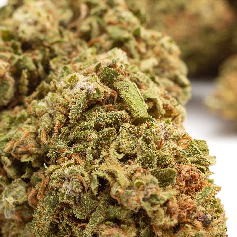 Watermelon OG