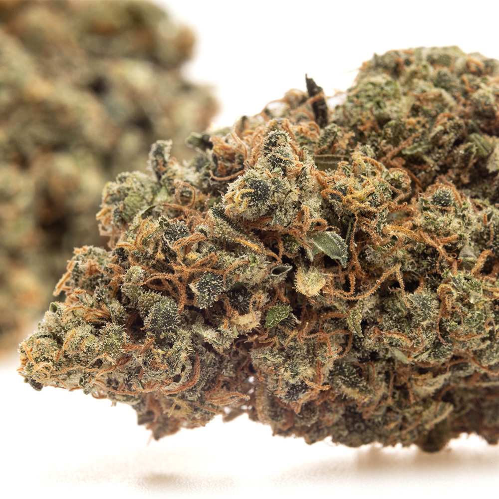 Lemon Cookies