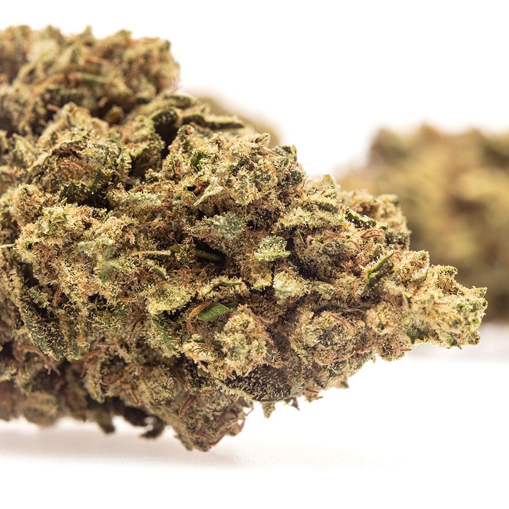 Lemon Kush
