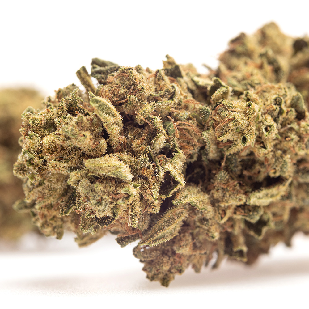 SKUNK