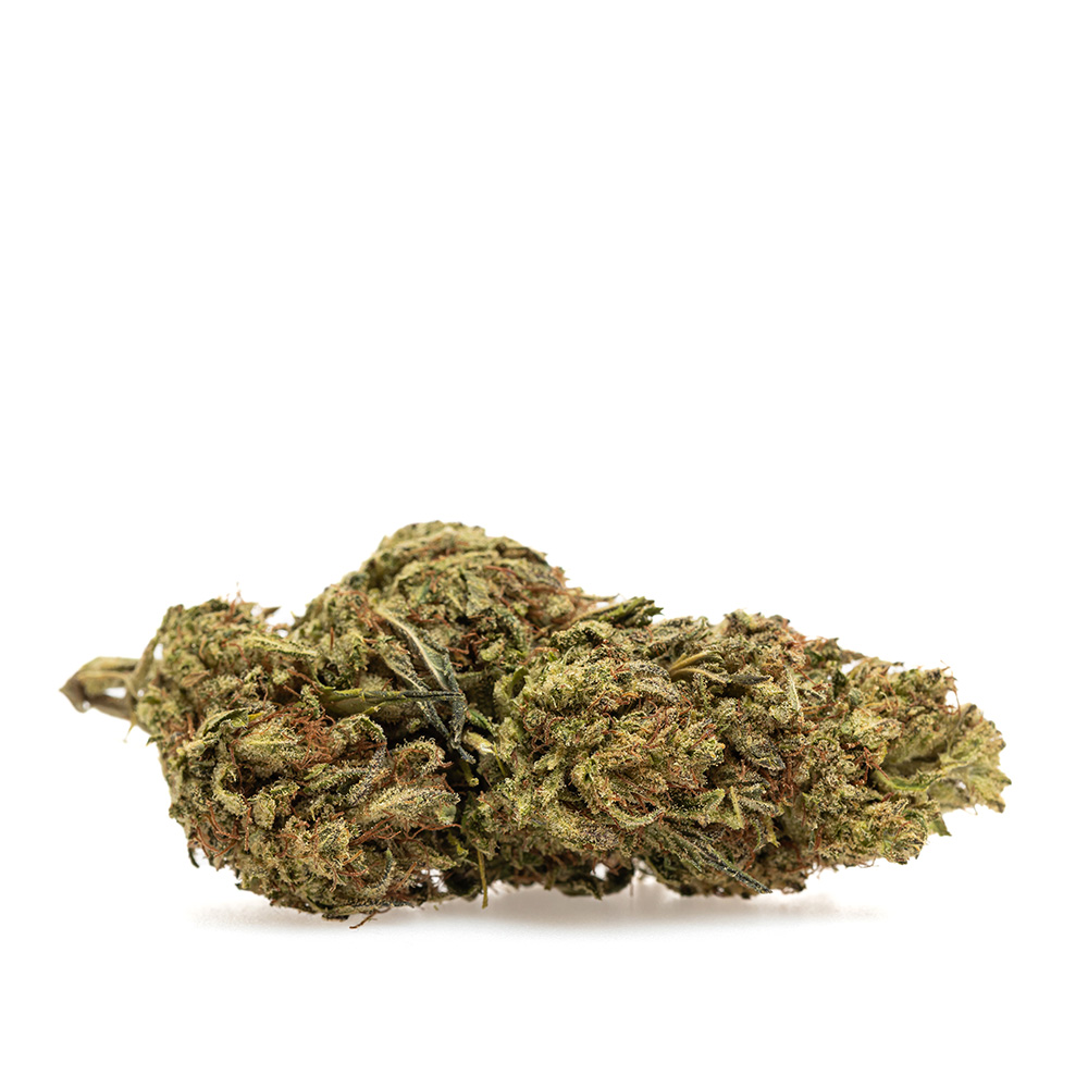 Lemon Zest