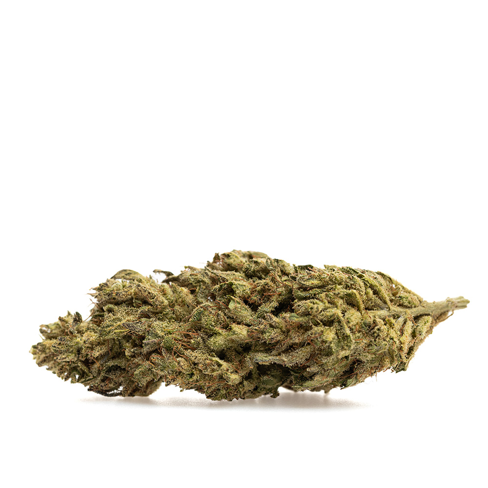 Lemon Zest