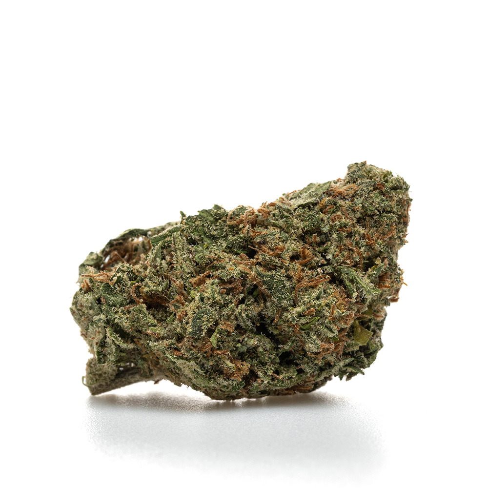 ALIEN OG – HYDRO