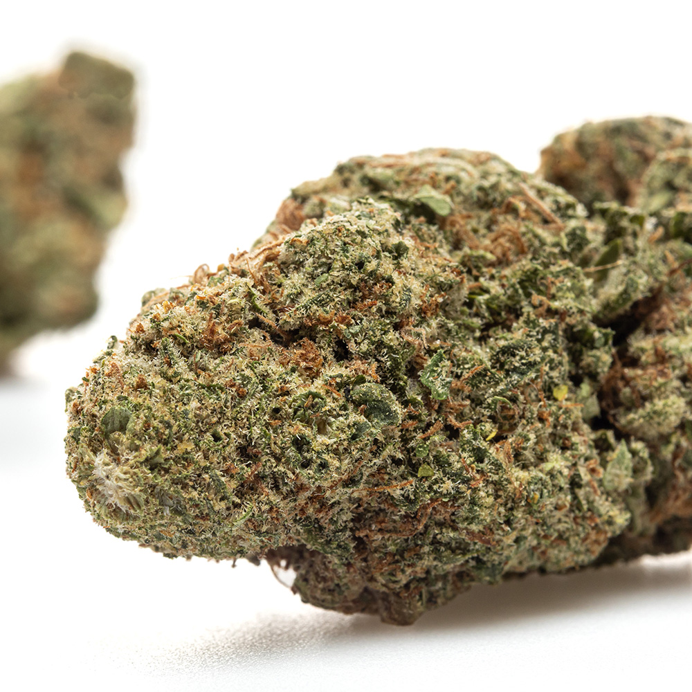 ALIEN OG – HYDRO
