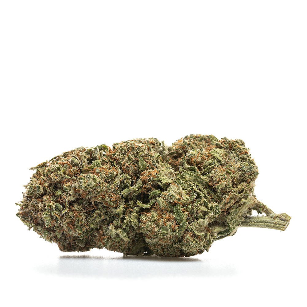 BLUEBERRY – HYDRO