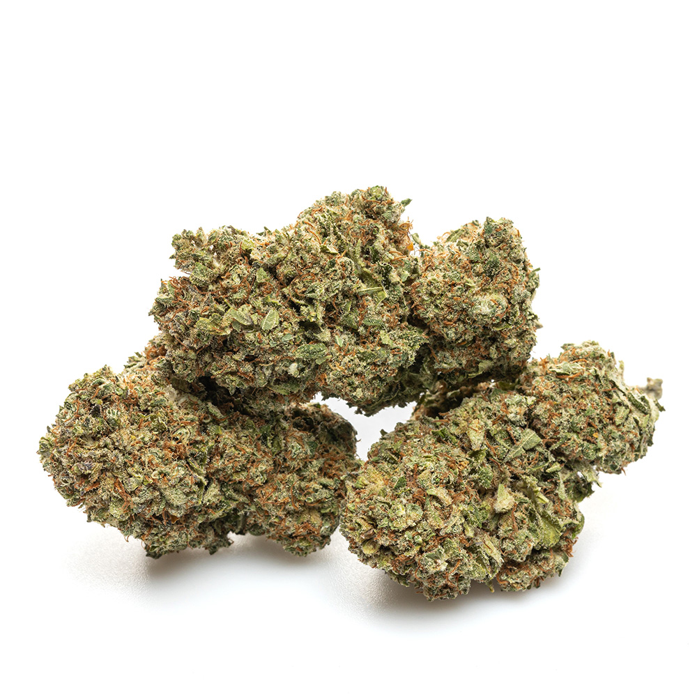 BLUEBERRY – HYDRO