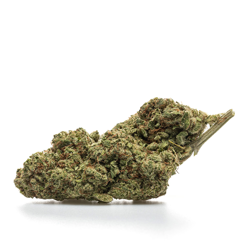 BUBBLE GUM – HYDRO
