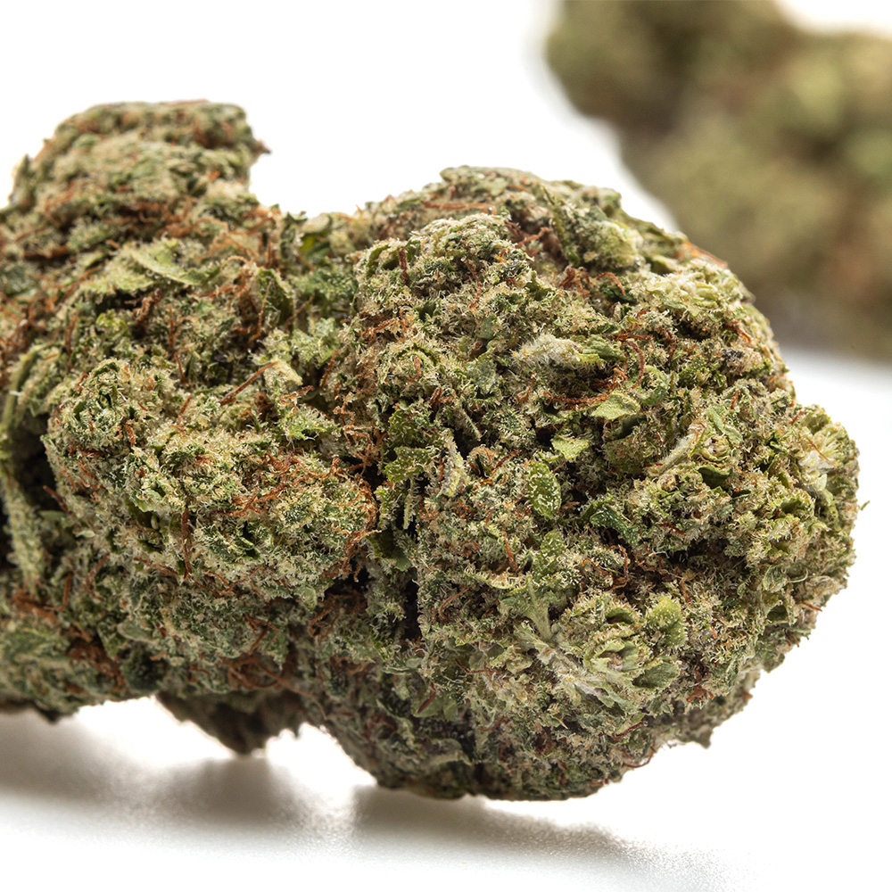 BUBBLE GUM – HYDRO