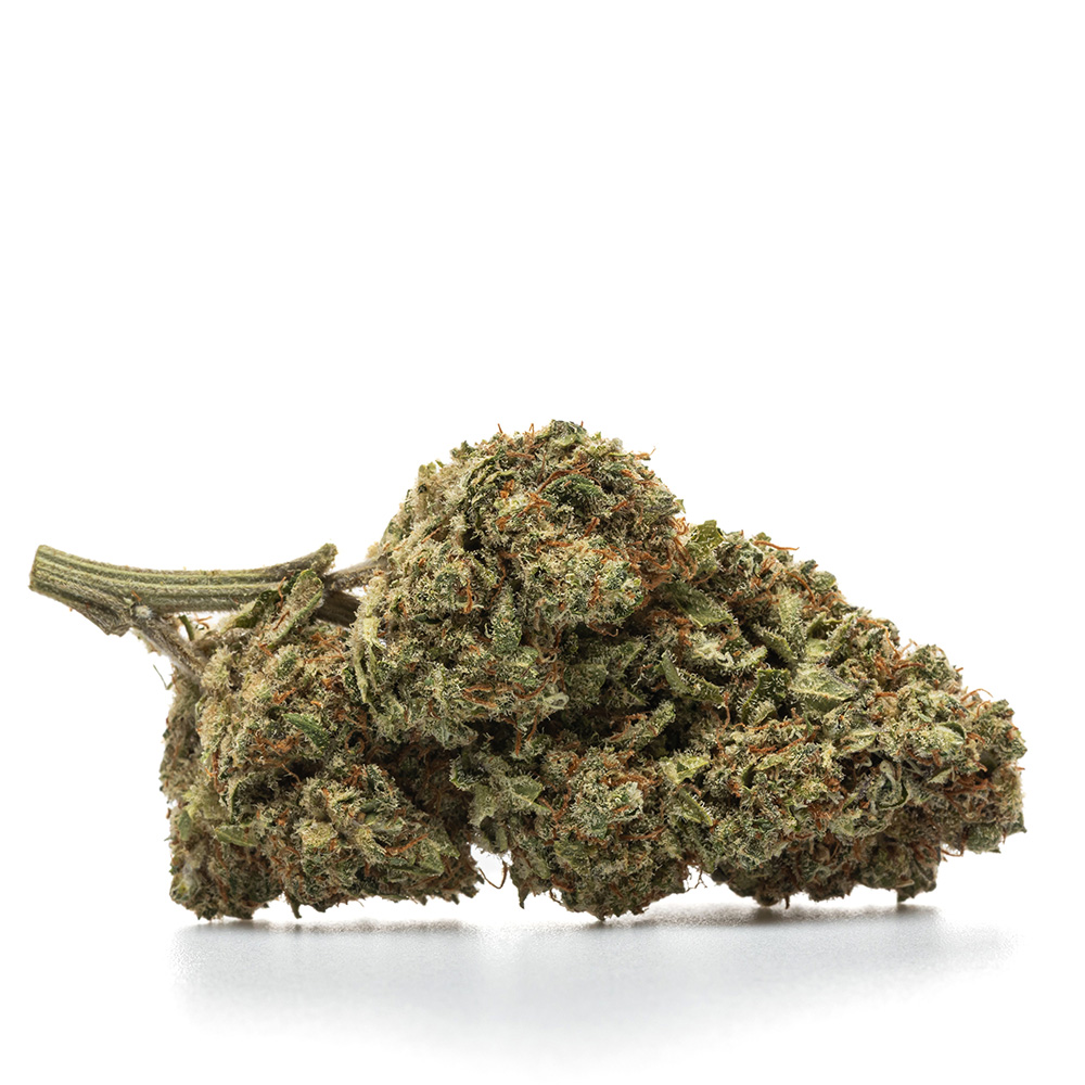 FORBIDDEN FRUIT – HYDRO