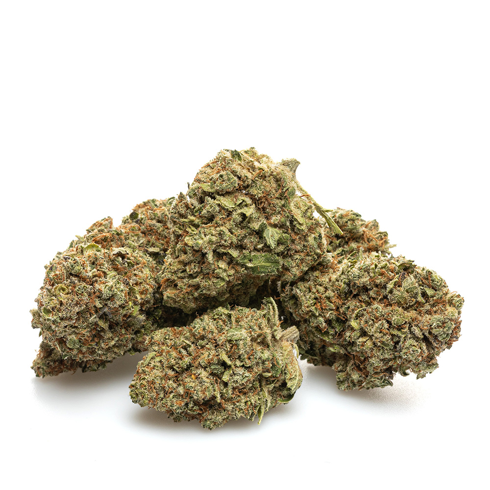 FORBIDDEN FRUIT – HYDRO