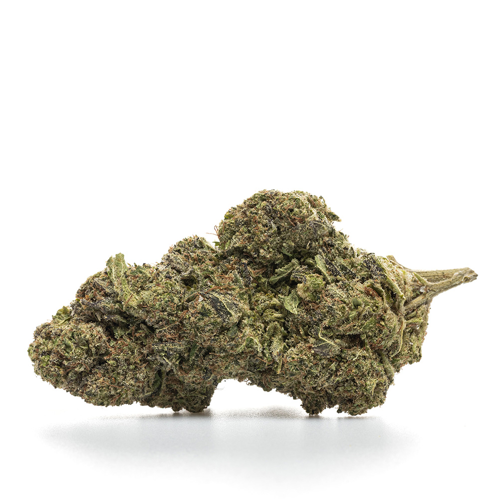 WEDDING CAKE – HYDRO