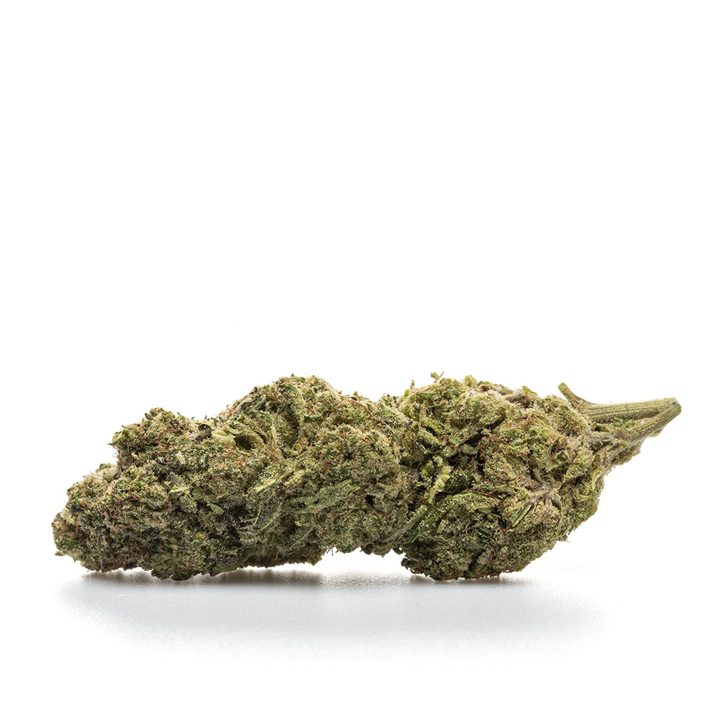 WEDDING CAKE – HYDRO