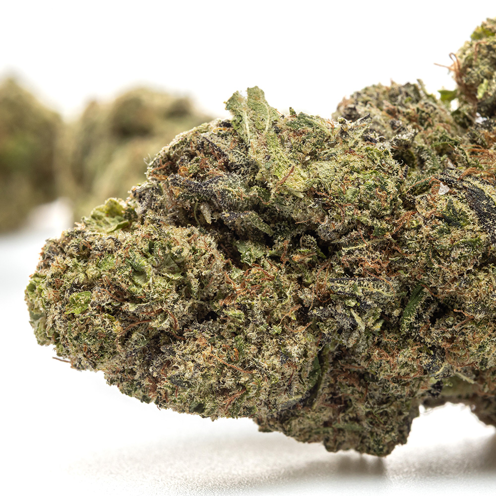 WEDDING CAKE – HYDRO