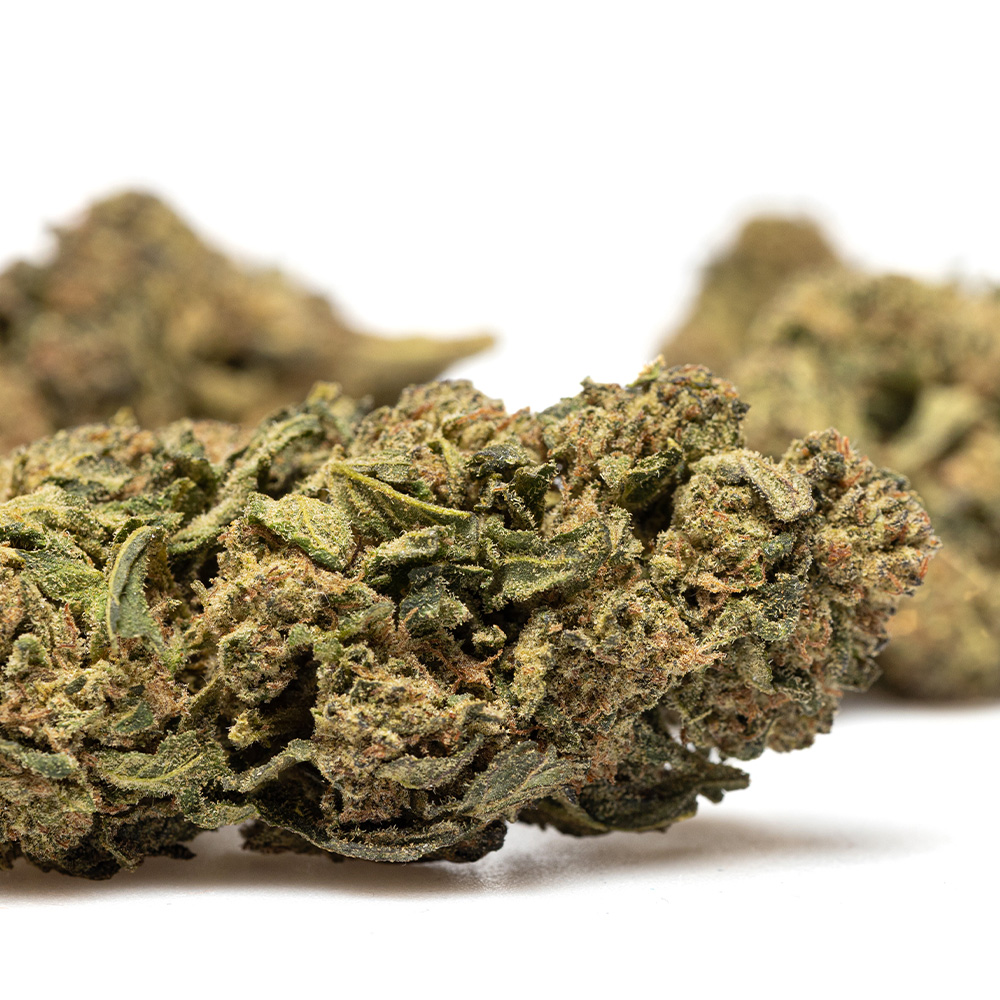 CANDY KUSH – THX