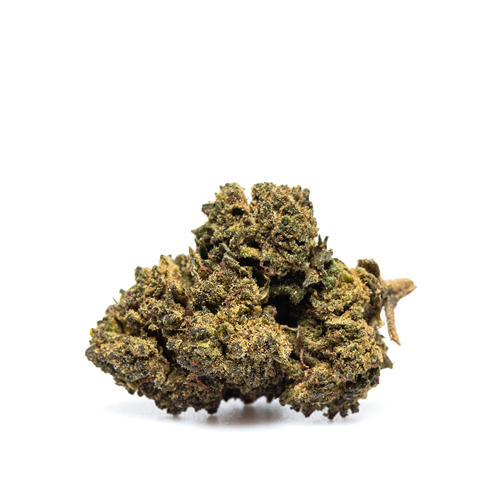 GORILLA GLUE #004 – THX