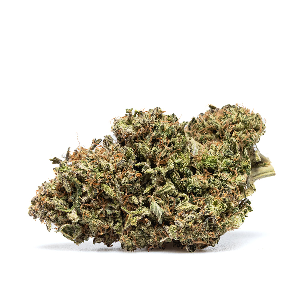 LEMON MACARON – HYDRO