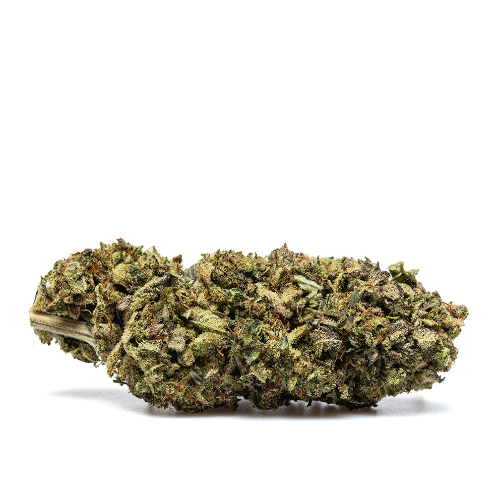 LEMON MACARON – HYDRO