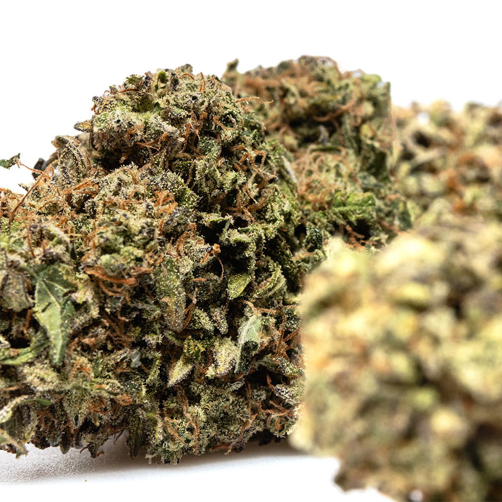 LEMON MACARON – HYDRO