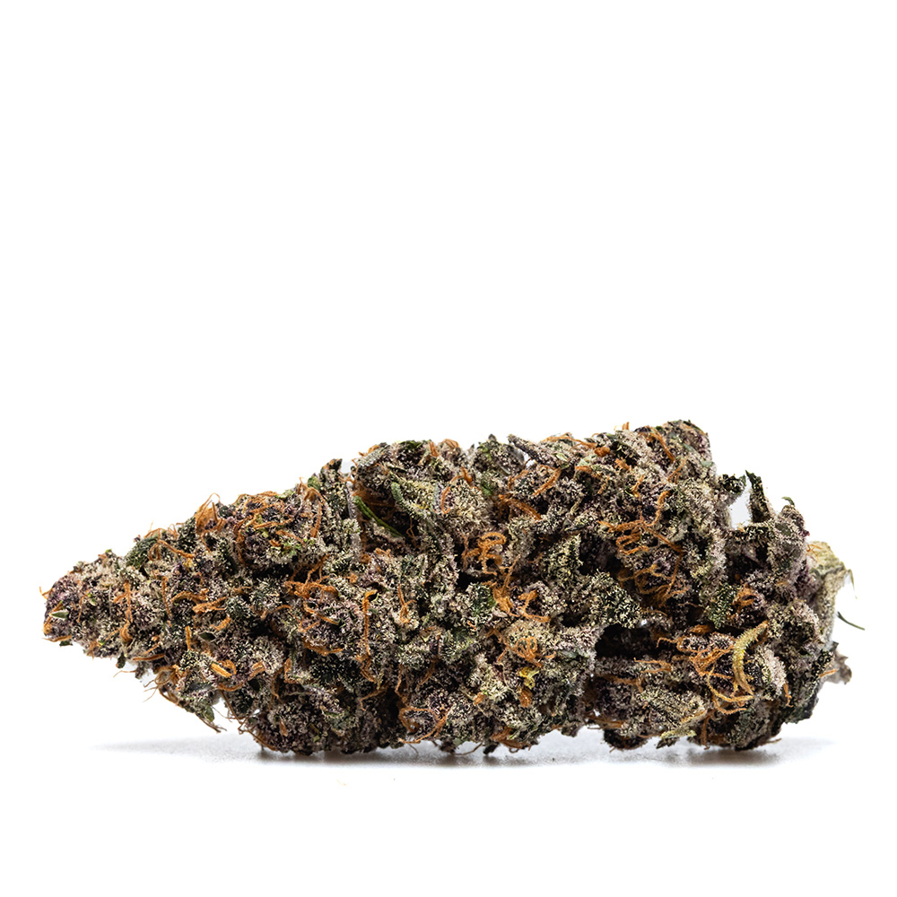 ORANGE FRITTER – HYDRO