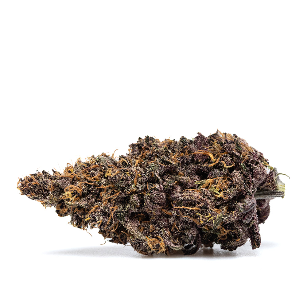 ORANGE FRITTER – HYDRO