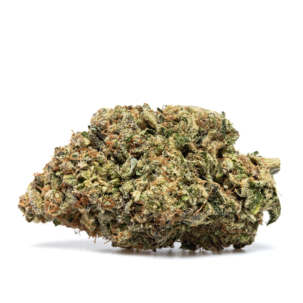 PAYTON'S LEMON S1 – HYDRO