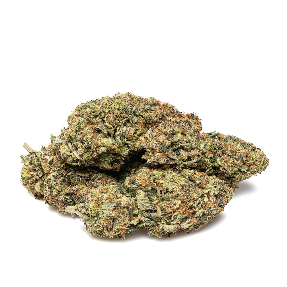 PAYTON'S LEMON S1 – HYDRO