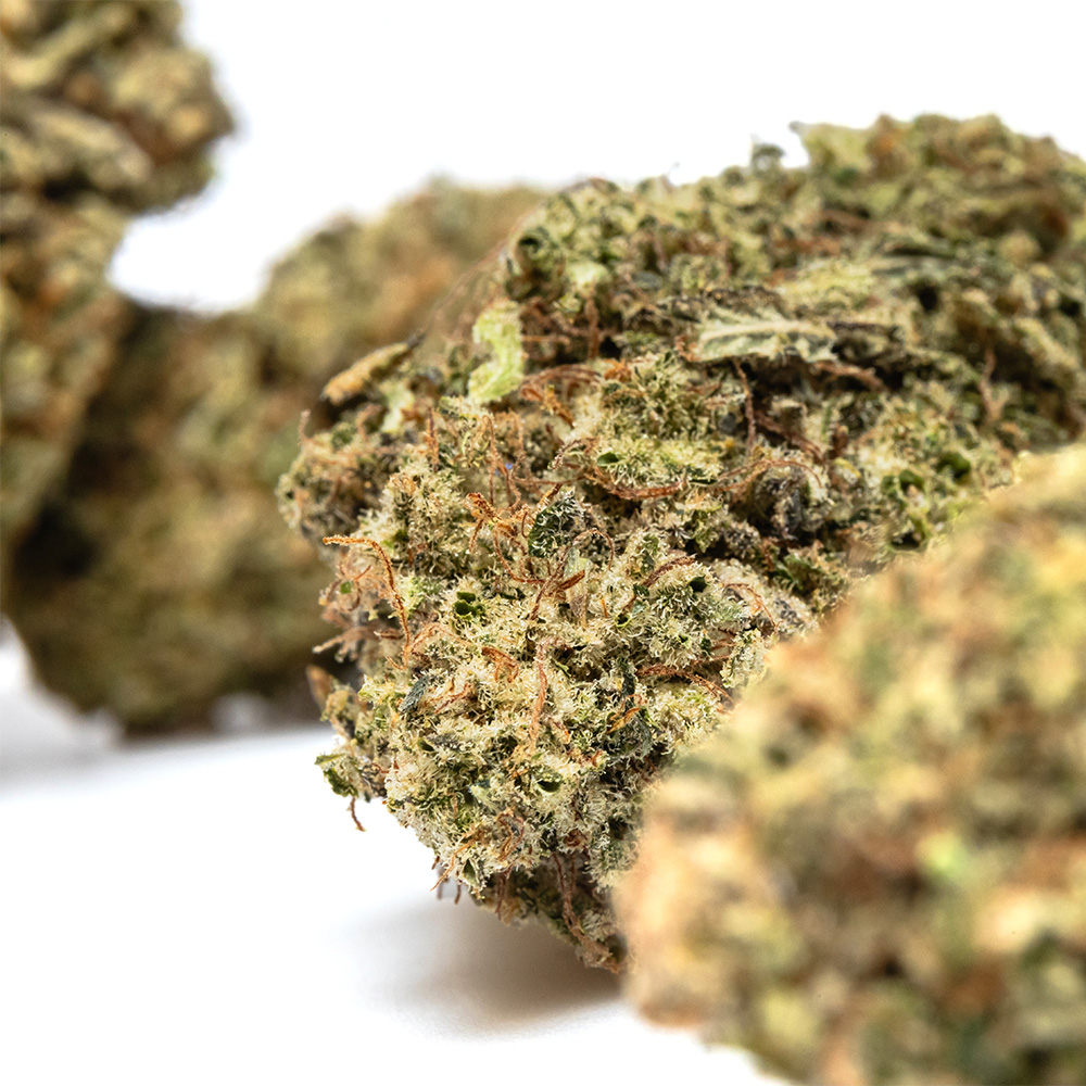 PINEAPPLE GUSHER – HYDRO